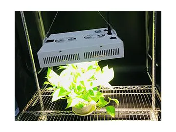 White LED Lighting LED Plant Grow Light