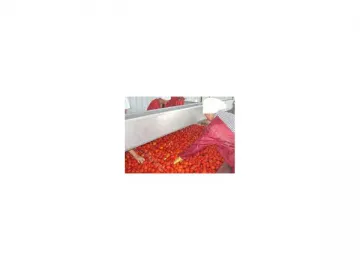 Fruit Washing Sorting Equipment