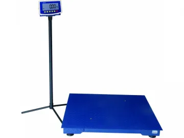 Pitless Platform Scale