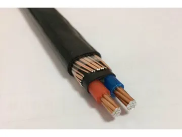 Concentric Cable