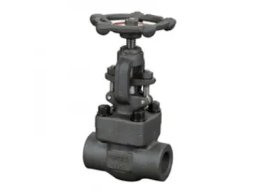 Globe Valve