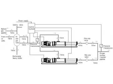 Progressive Cavity Pump Configuration Options