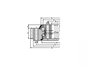 Double Row Ball Slewing Bearing(External gear)