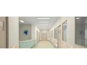 Hospital Hinged Door