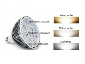 PAR30 12W High Power LED Spotlight