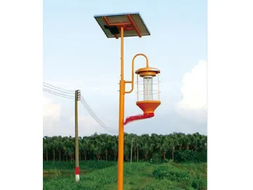 Solar Light Traps