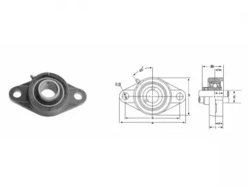 UCFL200 2 Bolt Flange Bearing Units