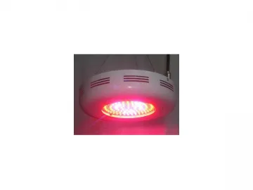 LED Grow Light