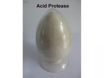 Acid Protease