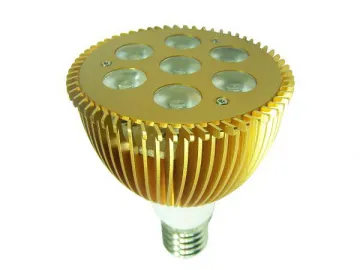 PAR20 LED PAR Light