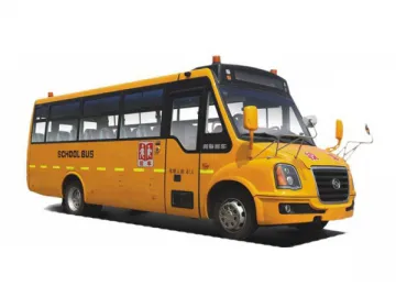 DD6930C04FX School Bus