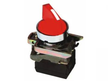 Selector Switch with LED Lamp