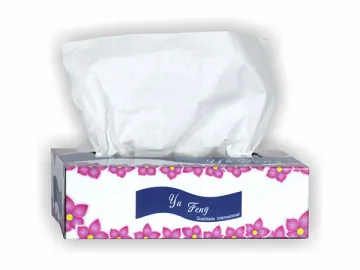 Facial Tissue (Box Type)