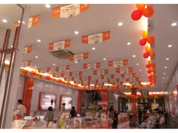 40W LED Ceiling Light