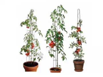 Tomato Support Spiral Wire