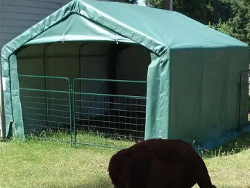 Horse Shelter