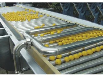 Fruit Sorter