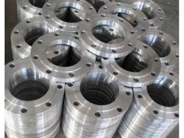 Stainless Steel Plate Flange