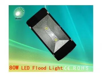 LED Flood Light