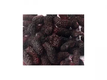 Fresh and Frozen Mulberry (IQF Fruit)