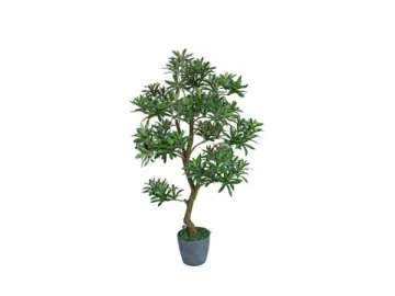 Artificial Podocarpus