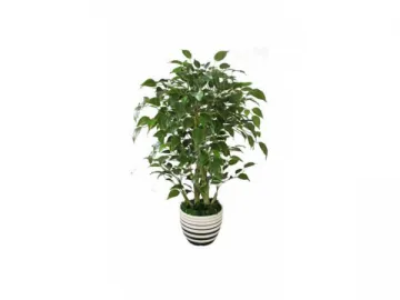 Artificial Ficus Plant