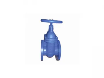 Gate Valve