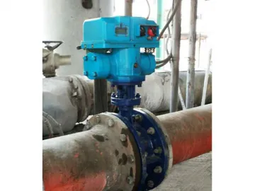 Bidirectional Rotary Ball Valve