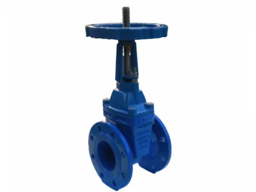 DIN 3352 F4-Rising Stem Gate Valve