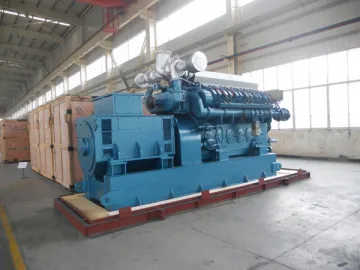 Biomass Generator Set