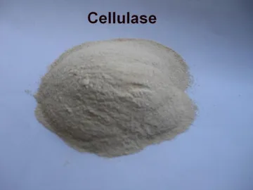 Cellulase