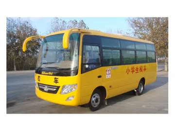 School Bus YTK6660T3X