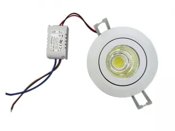 LED Down Light