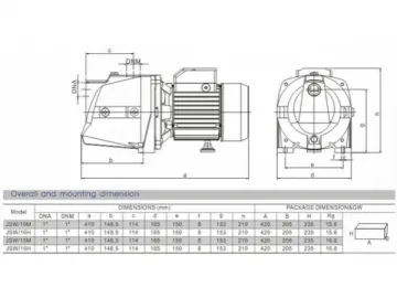 Self-Priming Jet Pump, JSW Series