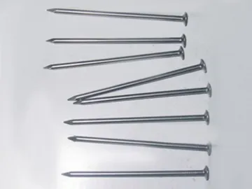 Common Nail