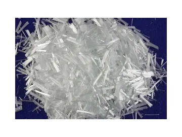 Glass fiber