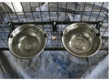 Stainless Steel Dog Water Bowl