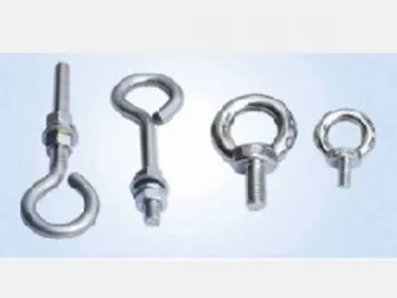 Stainless Steel Ring Bolt