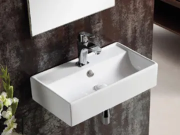 Wall Mounted Ceramic Sink