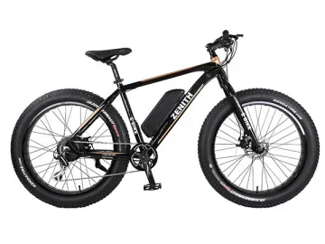 Electric Fat Bike