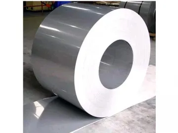 Stainless Steel Coil / Coil Steel