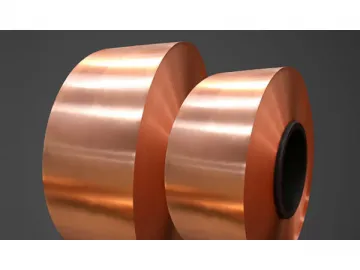 Phosphor Bronze Strip