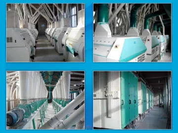 10-250T Flour Mill Plant