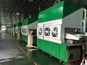 SD-P09 Automatic Pulp Molding Machine