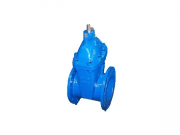 SHC-5C Resilient Gate Valve