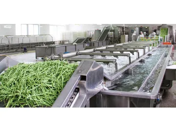 Fruit &amp; Vegetable Processing Line