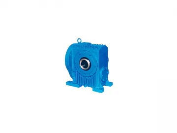 Worm Gear for Continuous Casting Machine