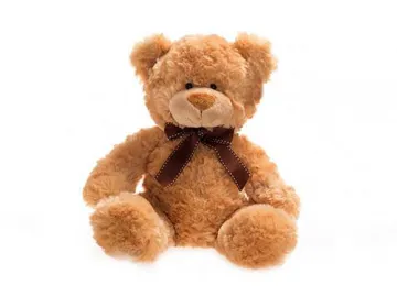 Chocolate Plush Teddy Bear