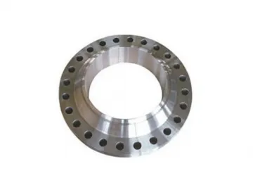 Stainless Steel Butt Weld Flange