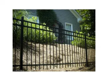 Wrought Iron/Cast Iron Fence